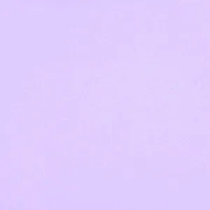 Long Lined Bikini Top | Lilac Iris